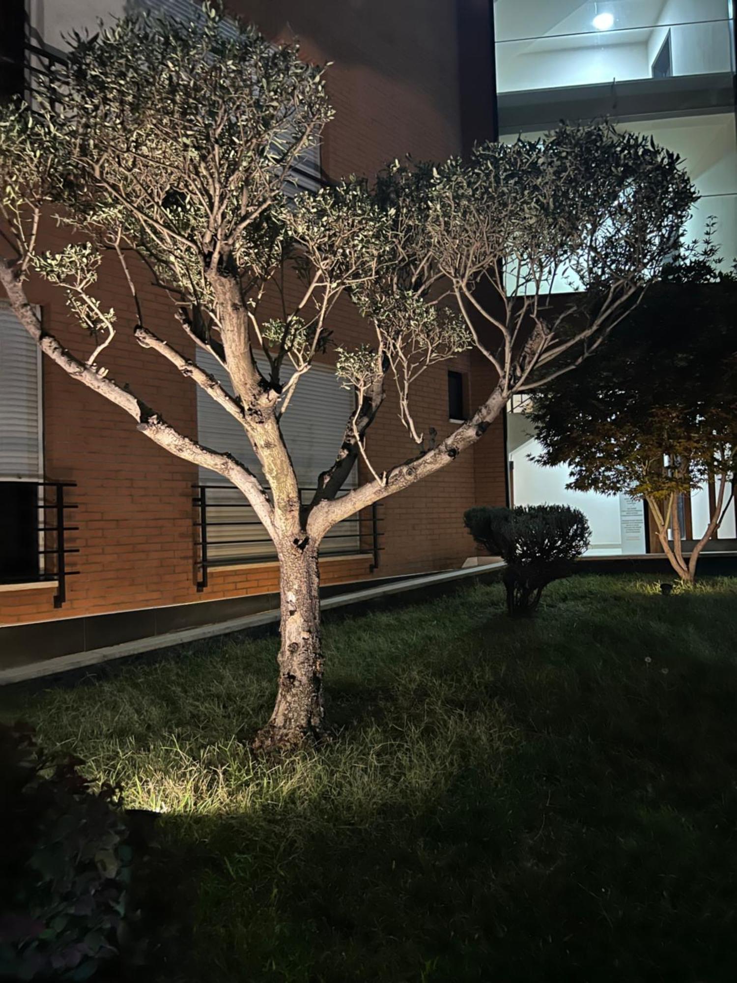 Nemis Apartments In The Centre Of Tirana Four Free Parking Exterior photo